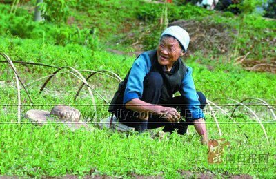 嵩明:水源區顯現生態效益_新聞中心_新浪網