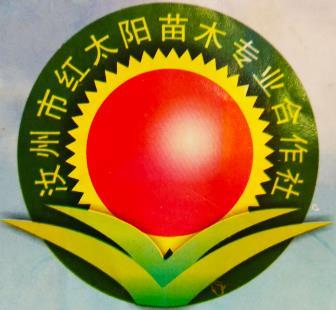 企業簡介