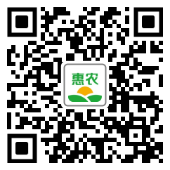 [普通羅漢松普通羅漢松 本苗圃常年對外供應,造林苗綠化苗經濟林苗珍稀樹苗等袋苗及祼根價格1株