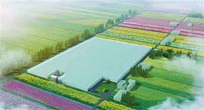 總投資約1億元,崇明這個項目正式投入運營