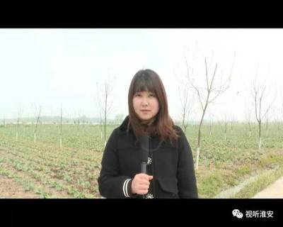 欽工鎮宋集村:發展林下經濟 開拓產業富民新路徑